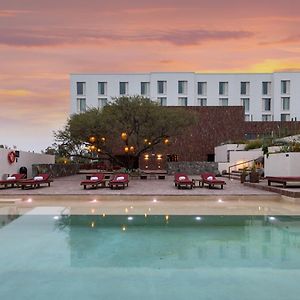 Albor San Miguel De Allende, Tapestry Collection By Hilton